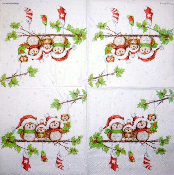 116 Eulen-lagig - Kalamazoo - CS - 24x24cm